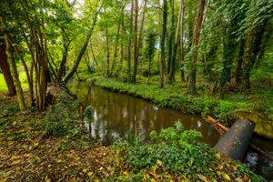 Photo 26- click for photo gallery